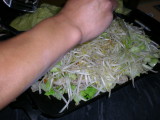 img0006.jpg