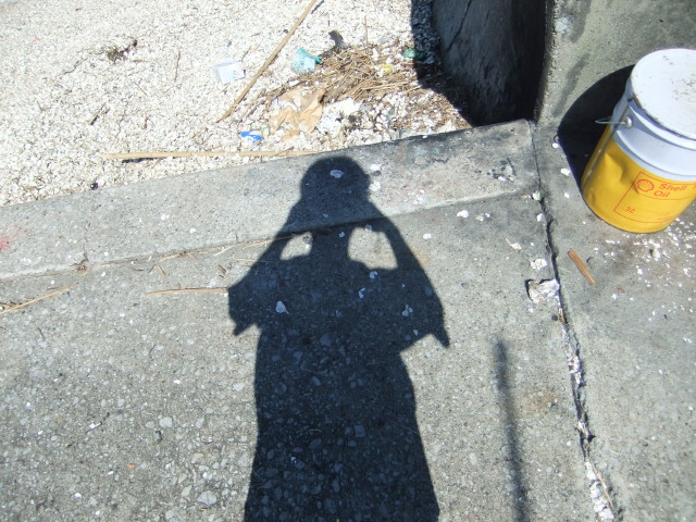 img0047.jpg